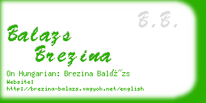 balazs brezina business card